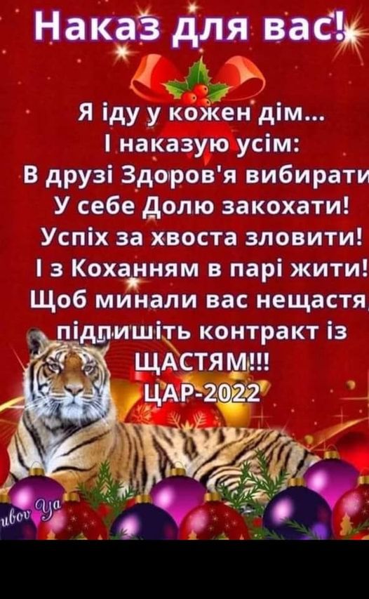 270275036 497665795259104 3936444609639313555 n