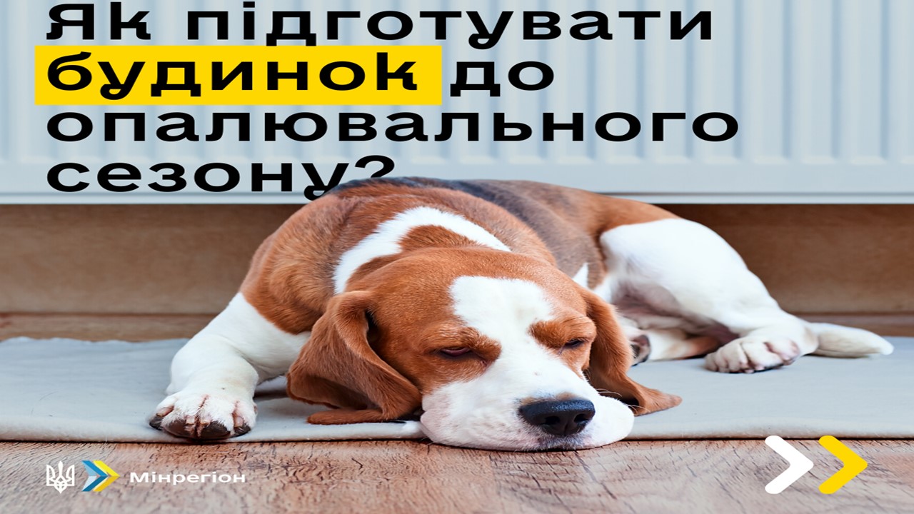 Слайд1